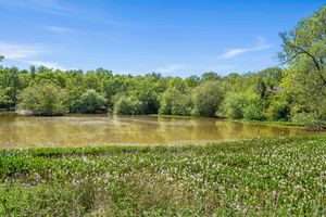Photo 22- click for photo gallery